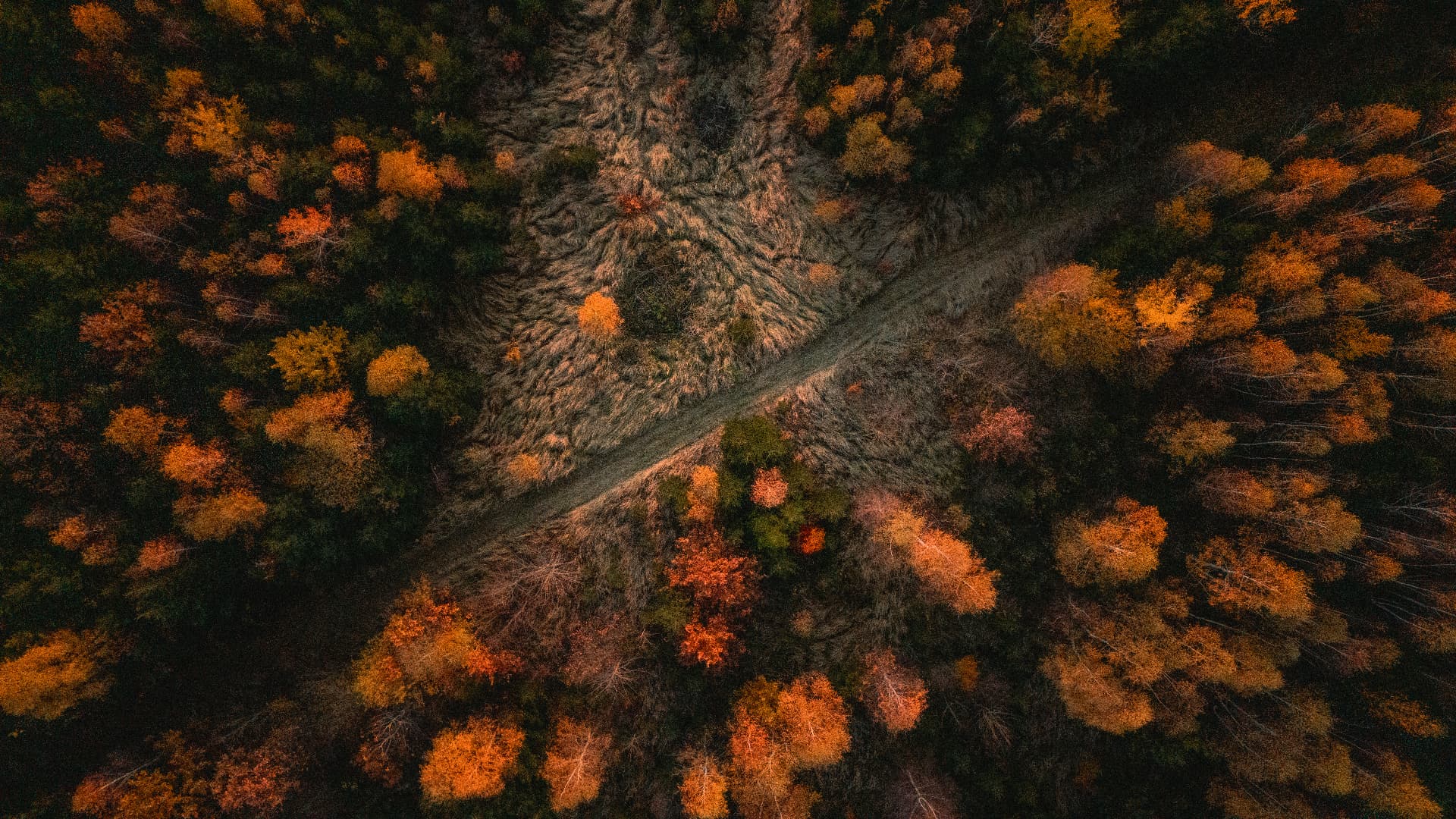 Krajina